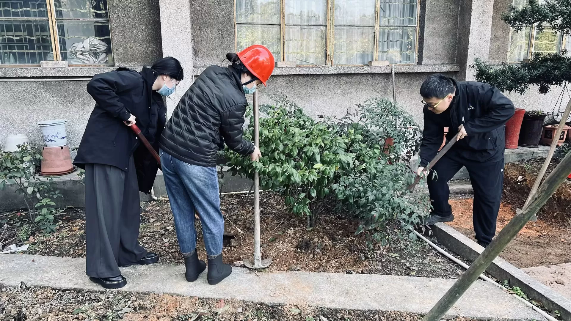 植此青绿，与地球共美好
